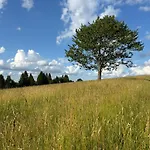 Vandrerhjem El Gotel *