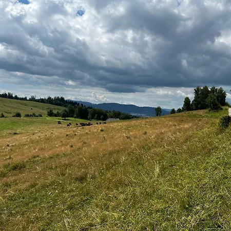 El Gotel אכסניה *