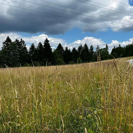 אכסניה El Gotel