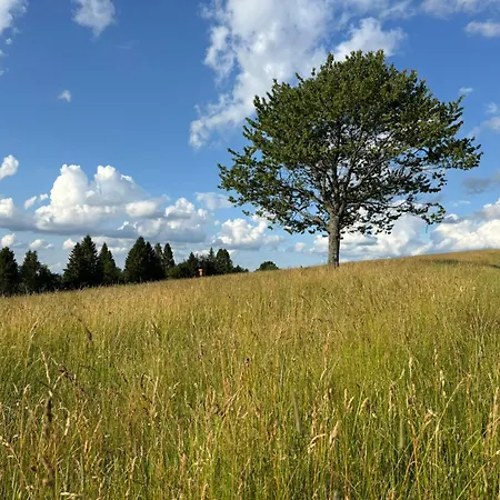 אכסניה El Gotel *